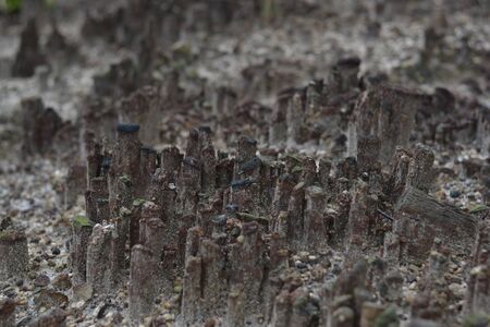 hill smallの写真素材