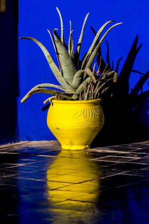 The beautiful Majorelle Garden is a botanical ,tropical garden and artist's landscape garden in Marrakech, Morocco. Le Jardin has a water fountain painted in Majorelle Blue.の写真素材