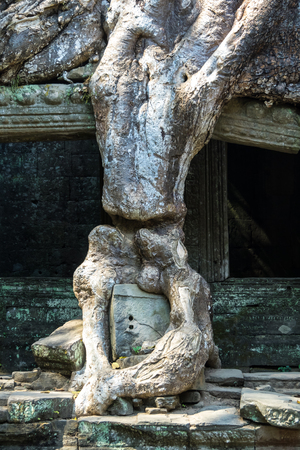Preah Khan temple in complex Angkor Wat in Siem Reap, Cambodia in a summer dayの写真素材