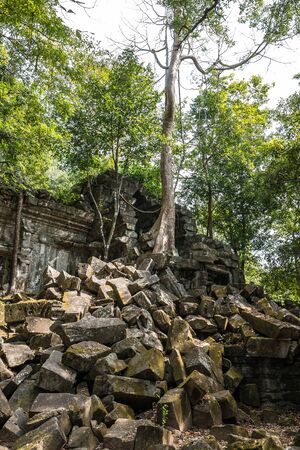 Ruins of ancient Beng Mealea Temple over jungle, Cambodia. Beng Mealea is a temple in the Angkor Wat style located 40 km east of the main group of temples at Angkor, its name means lotus pondの写真素材