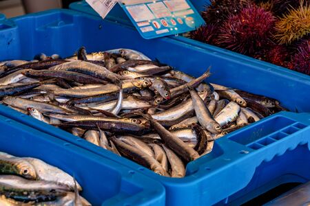 Mediterranean sea fish in Xabia Javea fish market of Spain