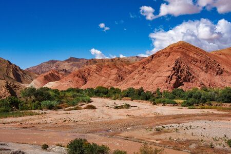 the beautiful Rose Valley - Vallee des Roses, near Ouarzazate, Morocco in Africa