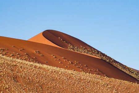 Amazing View of the dunes Sossusvlei. Namib Naukluft National Park. Sand dunes in the pan of...