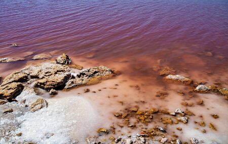 Laguna Salada in Torrevieja, Alicante region, Spain. Pink Salted lake. Salinas Natural Park.の写真素材