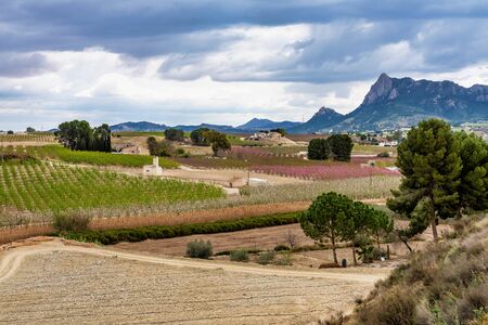 Landscape view of Cieza near Murcia in Spainの写真素材