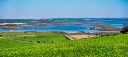 Greater Flamingos, Phoenicopterus roseus in Lagoon Fuente de Piedra, Andalusia, Spain. Some of the most beautiful birds on the planet gather in the Laguna de Fuente de Piedraの写真素材