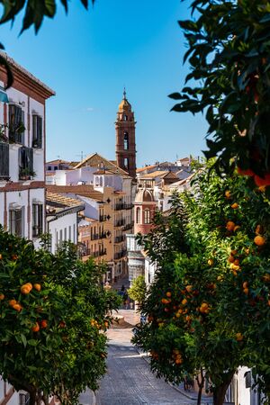 San Sebastian church tower in Antequera, Malaga Province, Andalusia, Spain, Western Europeの写真素材