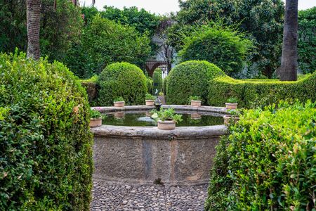 Courtyard garden of Viana Palace in Cordoba, Andalusia, Spain. Built in XV century. Viana Palace is a tourist attraction known for its 12 magnificent patios and gardens.の写真素材
