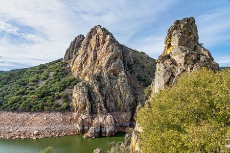 Griffon vultures, Gyps fulvus flying around Salto del Gitano in Monfrague National Park. Caceres, Extremadura, Spain.の写真素材