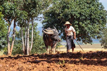 Pindaya, Myanmar - Nov 07, 2019: Working people of myanmar, former Burma on the road from Heho to...