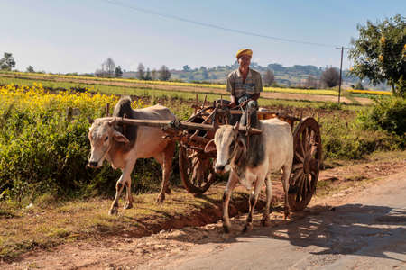 Pindaya, Myanmar - Nov 08, 2019: Working people of myanmar, former Burma on the road from Heho to Pindaya, Asiaのeditorial素材