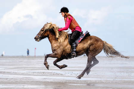 Cuxhaven, Germany - Aug 25, 2019: equestrian at the horse race in the mud flat at Duhner Wattrennen in Germanyのeditorial素材