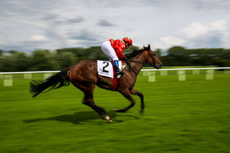 Munich, Germany - Oct 07, 2019: Horse racing at the racecourse in Munich-Riem, Germany, Europeのeditorial素材