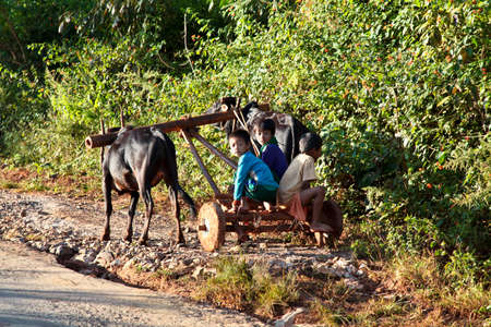 Pindaya, Myanmar - Nov 08, 2019: Working people of myanmar, former Burma on the road from Heho to Pindaya, Asiaのeditorial素材