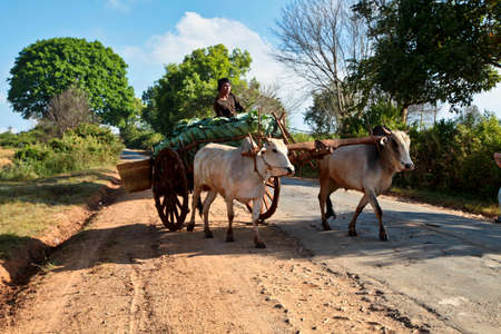 Pindaya, Myanmar - Nov 08, 2019: Working people of myanmar, former Burma on the road from Heho to Pindaya, Asiaのeditorial素材