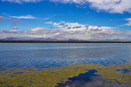 Santa Pola salt works and bird reserve Elche Alicante Spain in Europe