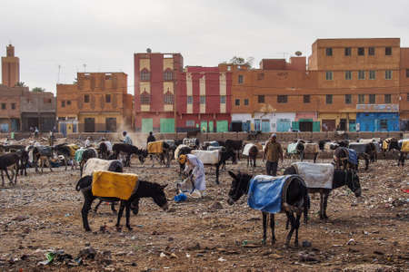 Rissani, Morocco - Oct 18, 2019: Rissani market in Morocco and the parking of donkeys and mules. Africaのeditorial素材