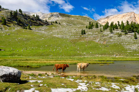 Autumn landscape in Val di Fanes, Dolomites, South Tyrol, Italy, Europeの写真素材