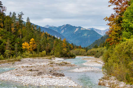 Autumn view of the maple trees at Ahornboden, Karwendel mountains, Tyrol, Austriaの写真素材