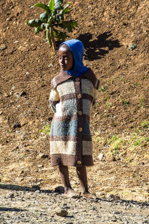 Gondar, Ethiopia - Feb 07, 2020: agricultural population working on the farms between Gondar and the Simien mountains, North Ethiopia, Africaのeditorial素材