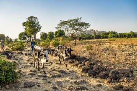 Tis Issat, Ethiopia - Feb 05, 2020: People living near the Blue Nile falls, Tis-Isat Falls, meaning great smoke in Amharic in Amara region of Ethiopia, Eastern Africaのeditorial素材