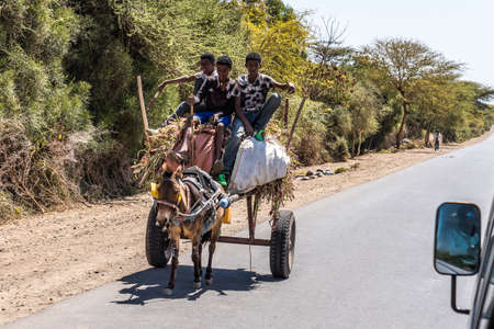 Lalibela, Ethiopia - Feb 12, 2020: Ethiopian people seen on the road from Lalibela to Gheralta, Tigray in Northern Ethiopia, Africaのeditorial素材