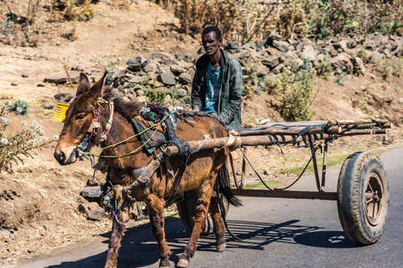 Gondar, Ethiopia - Feb 07, 2020: Ethiopian people on the road from Gondar to the Simien mountains, North Ethiopia, Africa.のeditorial素材