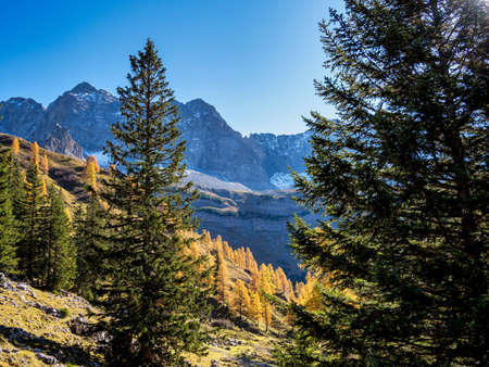 Autumn view of the maple trees at Ahornboden, Karwendel mountains, Tyrol, Austriaの写真素材