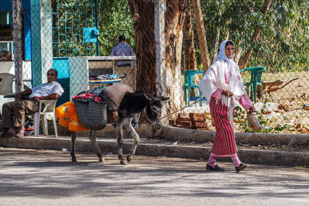 Fes, Morocco - Oct 14, 2019: View of a weekly Berber souk market bazaar held in the countryside. A bustling scene of locals at a weekly souk outside of Fesのeditorial素材
