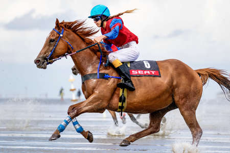 Cuxhaven, Germany - Aug 25, 2019: equestrian at the horse race in the mud flat at Duhner Wattrennen...