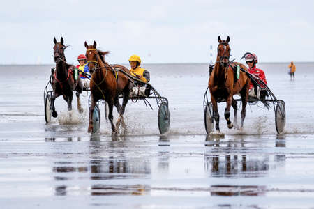 Cuxhaven, Germany - Aug 25, 2019: equestrian at the horse race in the mud flat at Duhner Wattrennen in Germanyのeditorial素材