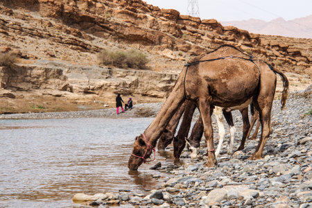 Erfoud, Morocco - Oct 17, 2019: Berber people living in the moroccan mountains between Midelt and Erfoud in Morocco, Africaのeditorial素材