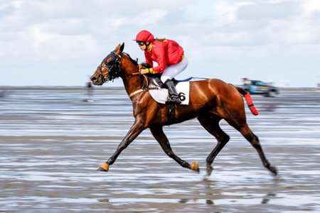 Cuxhaven, Germany - Aug 25, 2019: equestrian at the horse race in the mud flat at Duhner Wattrennen in Germanyのeditorial素材