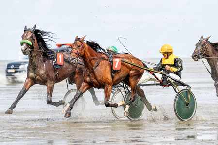 Cuxhaven, Germany - Aug 25, 2019: equestrian at the horse race in the mud flat at Duhner Wattrennen in Germanyのeditorial素材