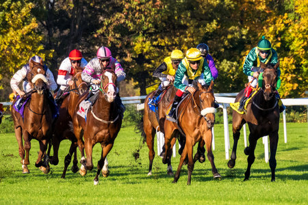 Munich, Germany - Oct 07, 2019: Horse racing at the racecourse in Munich-Riem, Germany, Europeのeditorial素材