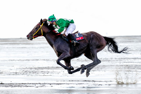 Cuxhaven, Germany - Aug 25, 2019: equestrian at the horse race in the mud flat at Duhner Wattrennen...