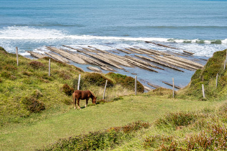 The Flysch Coast of Sakoneta, Zumaia in Basque Country in Spainの写真素材