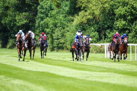 Munich, Germany - Oct 07, 2019: Horse racing at the racecourse in Munich-Riem, Germany, Europeのeditorial素材