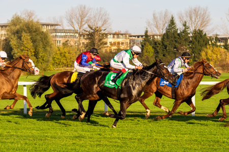 Munich, Germany - Oct 07, 2019: Horse racing at the racecourse in Munich-Riem, Germany, Europeのeditorial素材