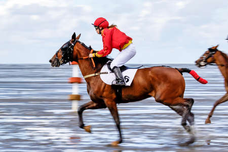 Cuxhaven, Germany - Aug 25, 2019: equestrian at the horse race in the mud flat at Duhner Wattrennen in Germanyのeditorial素材