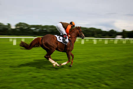 Munich, Germany - Oct 07, 2019: Horse racing at the racecourse in Munich-Riem, Germany, Europeのeditorial素材