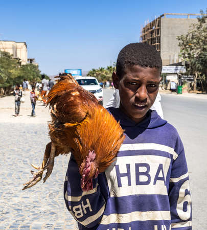 Wukro Cherkos, Ethiopia - Feb 11, 2020: Boy with a rooster at the rocky church of Wukro Cherkos in Ethiopia, Africaのeditorial素材