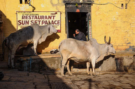 Jaisalmer, India - Dec 31, 2019: Picture of the life, market, streets and houses of Jaisalmer city,...