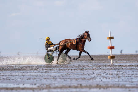 Cuxhaven, Germany - Aug 25, 2019: equestrian at the horse race in the mud flat at Duhner Wattrennen in Germanyのeditorial素材