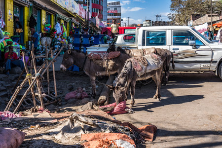 Addis Ababa, Ethiopia - Feb 15, 2020: Addis Mercato in Addis Abeba, Ethiopia, the largest market in Africa.のeditorial素材