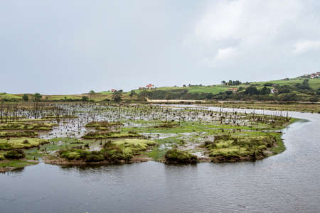Oyambre natural park near San Vicente de la Barquera, Cantabria, Spain in Europeの写真素材
