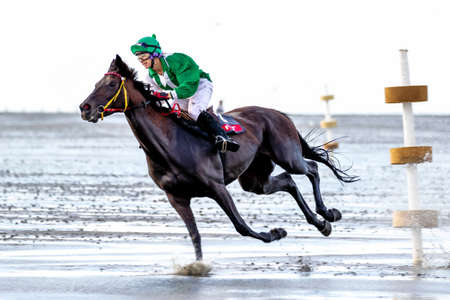 Cuxhaven, Germany - Aug 25, 2019: equestrian at the horse race in the mud flat at Duhner Wattrennen in Germanyのeditorial素材