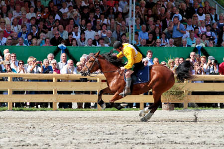 Munich, Germany - September 26, 2018: horse race at Oktoberfest in Munich Germanyのeditorial素材