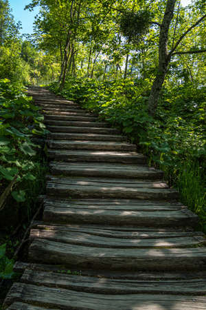 Wooden path in Plitvice National Park, Croatia. One of the oldest and largest national parks in Croatia. In 1979 it was added to the UNESCO World Heritage registerの写真素材