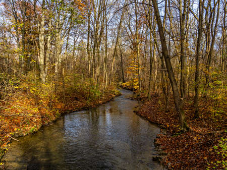 Golden autumn view in famous Munich relax place - Englischer Garten. English garden with fallen...